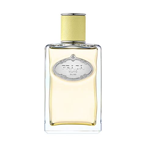 prada infusion jengibre